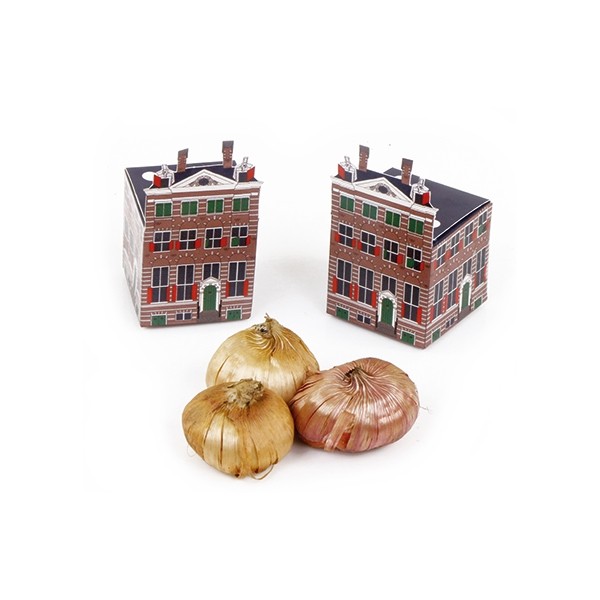 Maison miniature de canal - image 4